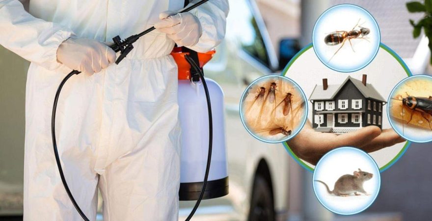 Bozyazı Böcek İlaçlama