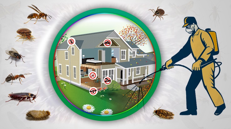 Bozyazı Böcek İlaçlama