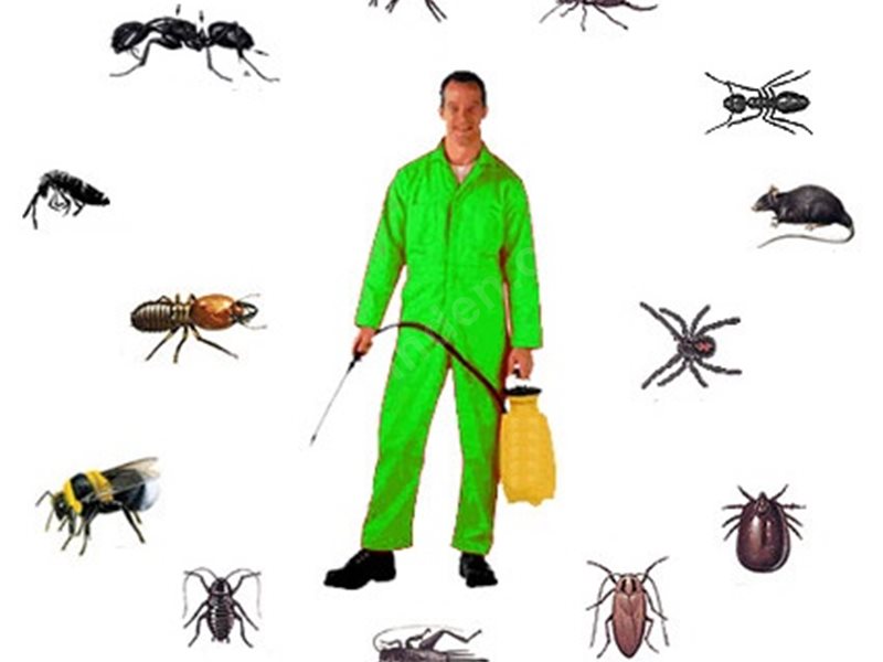 Bozyazı Böcek İlaçlama